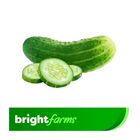brightfarms Cucumber Local (Shosha) 600g ±25g