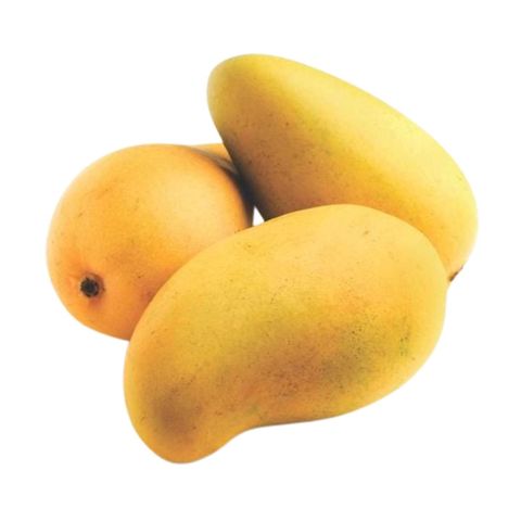 Fazli Aam (Bagging Mango) 2kg ±100g