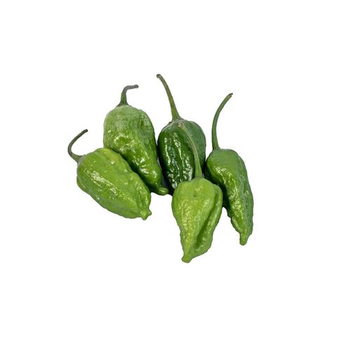 brightfarms Bombay Chili 5 Pieces