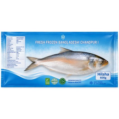 Hilsha Fish 600g