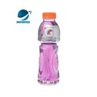 Gatorade Quiet Storm 515ml