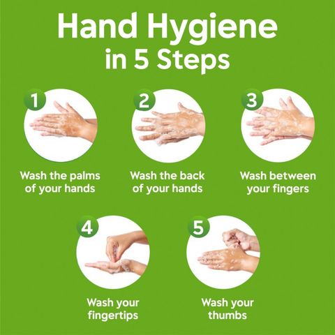 (Buy & Get Tiffin Box Free) Dettol Handwash Aloe Vera Refill Double Pack 170ml