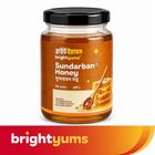 brightyums Sundarban Honey 100g