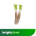 brightfarms Taro (Kochu) 1 Piece