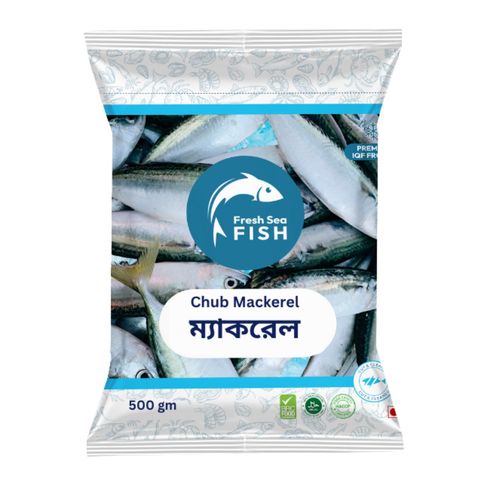 Fresh Sea Fish Chub Mackerel 500g