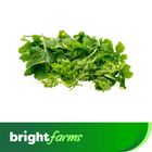 brightfarms Lau Shak (Sweet Bitter Melon Leaves) 1 Bunch