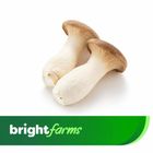 brightfarms Mushroom Eringi Imported 200g ±10g