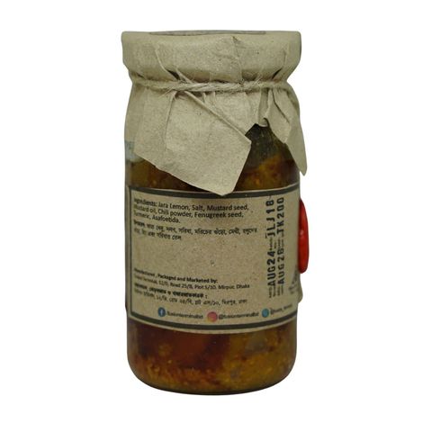 Fusion Terminal Jara Lebu Journey Jaflong Citron 160g