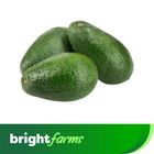 brightfarms Hass Avocado Fresh Imported 380-400g