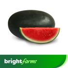 brightfarms Watermelon Black Tormuj 1.8kg ±50g