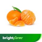 brightfarms Sweet Orange Per Piece 110g+
