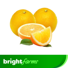 brightfarms Orange (Malta) 1kg (±30g)