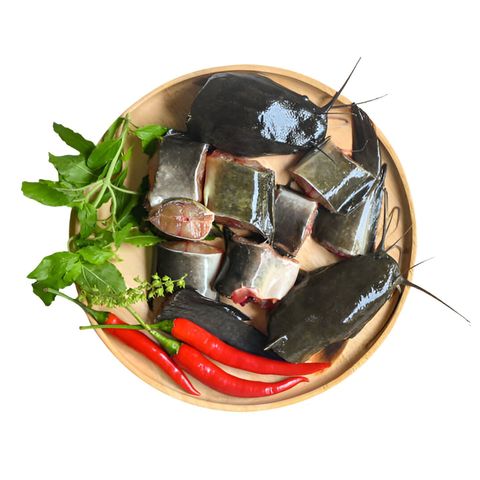 Premium Quality Magur Fish Medium Cube Cut & Clean 500g