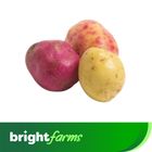brightfarms Red Potato (Lal Alu) Small 500g ±20g