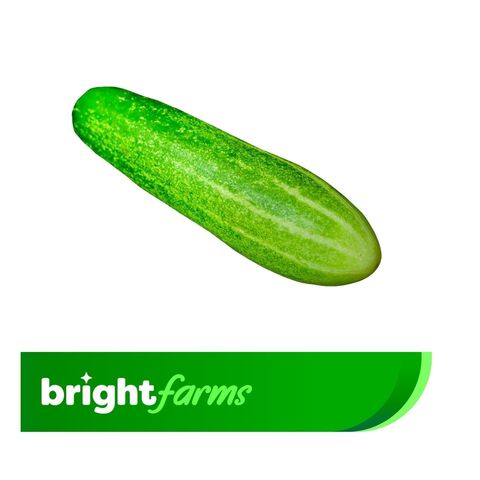 brightfarms Hybrid Cucumber (Shosha) 600g ±25g
