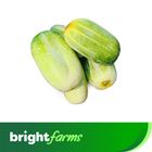 brightfarms Cucumber (Khira) 500g (± 20g)
