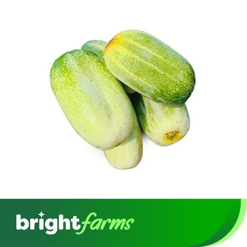 brightfarms Cucumber (Khira) 500g (± 20g)