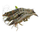 Shrimp (Bagda Chingri) 25-30 Pieces 500g ±15g