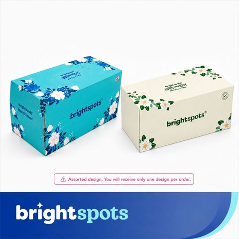 brightspots Hand Towel Box 250 Sheets Assorted