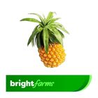 brightfarms Pineapple (Cherry Anarosh) 300g