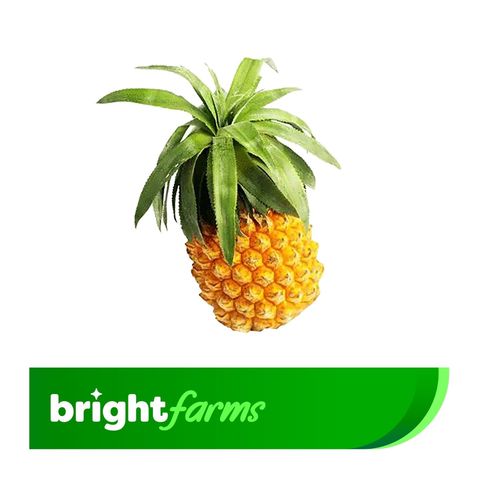 brightfarms Pineapple (Cherry Anarosh) 300g