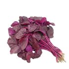 Red Amaranth Lal Shak 1 Bunch