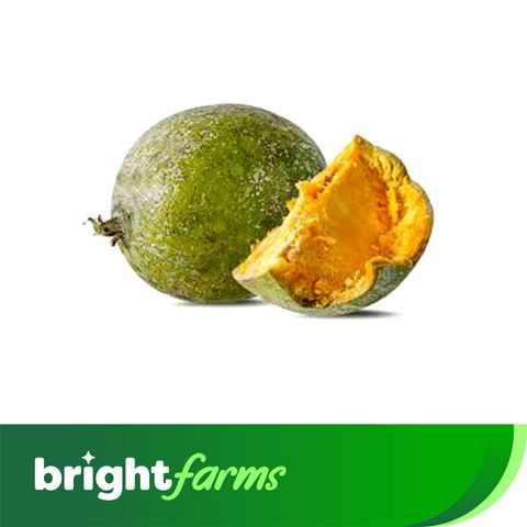 brightfarms Bally Wood Apple (Bel) Big 1 Piece
