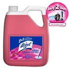 Lizol Disinfectant Surface Cleaner Floral 5L
