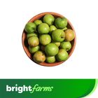 brightfarms Tok Baroi 500g ±20g