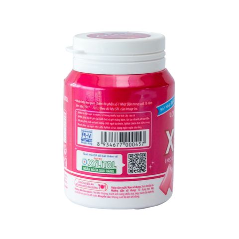 Lotte Xylitol Handy Bottle Strawberry Mint 55.1g