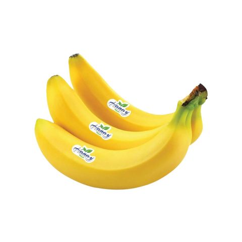 Hanay Premium Banana Sagor Kola 6 Pieces