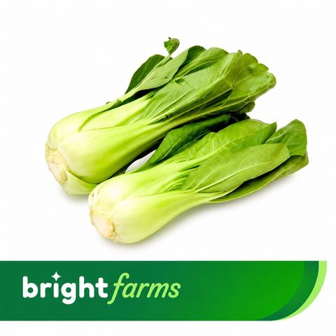 brightfarms Fresh Pokchay 180g
