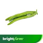 brightfarms Snake Gourd (Chichinga) 500g (±20g)