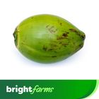 brightfarms Big Green Coconut 1 Piece