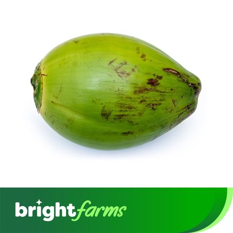 brightfarms Big Green Coconut 1 Piece
