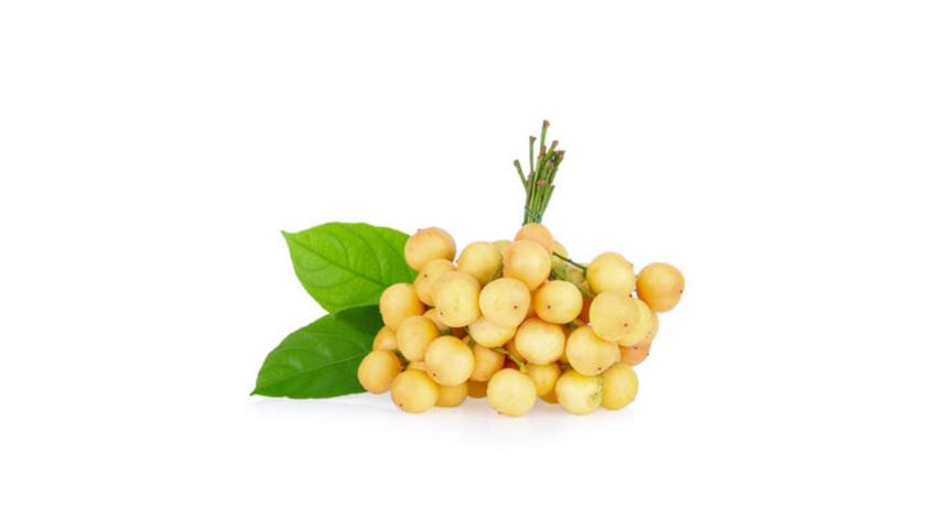 brightfarms Burmese Grape (Lotkon)500g ±20g