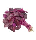 Red Amaranth Lal Shak 1 Bunch