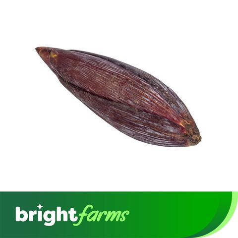 brightfarms Banana flower (Kolar Mocha) 1 Piece