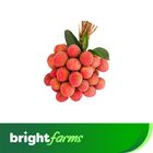 brightfarms China-3 Lychee 25 Pieces