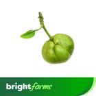 brightfarms Elephant Apple (Chalta) 1 Piece