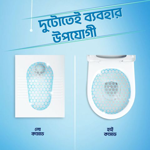Buy 1 Piece Domex Toilet Cleaning Liquid Lime Fresh 750ml & Get Free Container 1 Piece