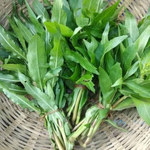 brightfarms Helencha shak 1 Bundle 250g +-20g