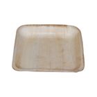 Pisces Areca Leaf - Square Plate (6") Set of 6 Pieces