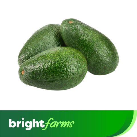 brightfarms Hass Avocado Imported 300g - 350g