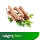 brightfarms Green Tamarind Kacha Tetul 500g (±25g)