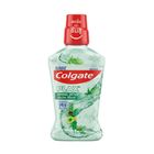 Colgate Mouth Wash Herbal Detox 500ml