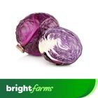 brightfarms Red Cabbage (Lal Badhakopi) 1 Piece