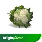 brightfarms Cauliflower (Fulkopi) Regular 1 Piece