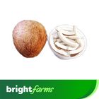brightfarms Dry Coconut Slice Process 100g ± 5g