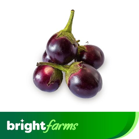 brightfarms Brinjal Black Round Eggplant (Begun Taal) 900g ±50g